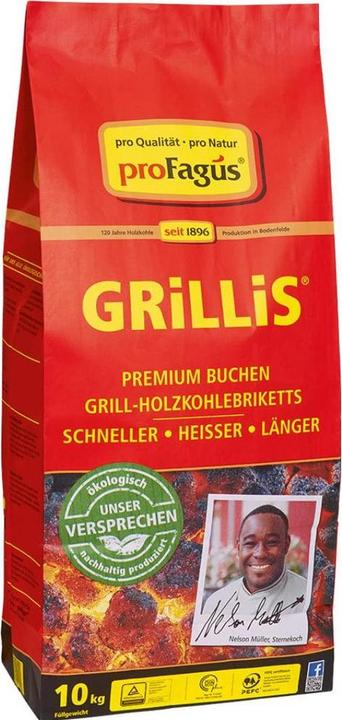 ProFagus Charcoal briquettes (10 kg)