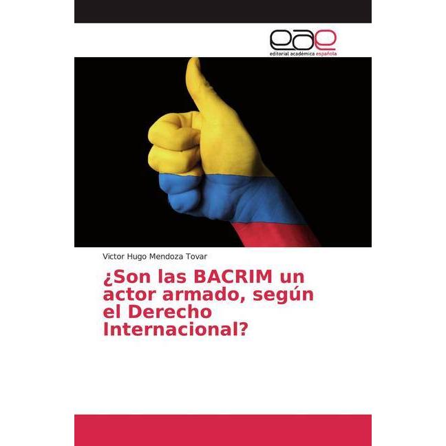 ¿Son las BACRIM un actor armado, según el Derecho Internacional?, Fachbücher von Victor Hugo Mendoza Tovar