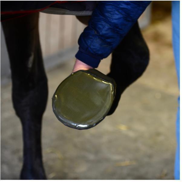 Actual product image Kentucky Horsewear Sole Tape