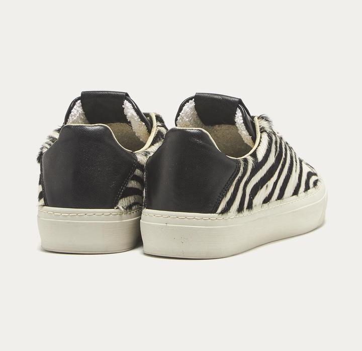 Image du produit Aqua Alta Mantea Zebra (41)