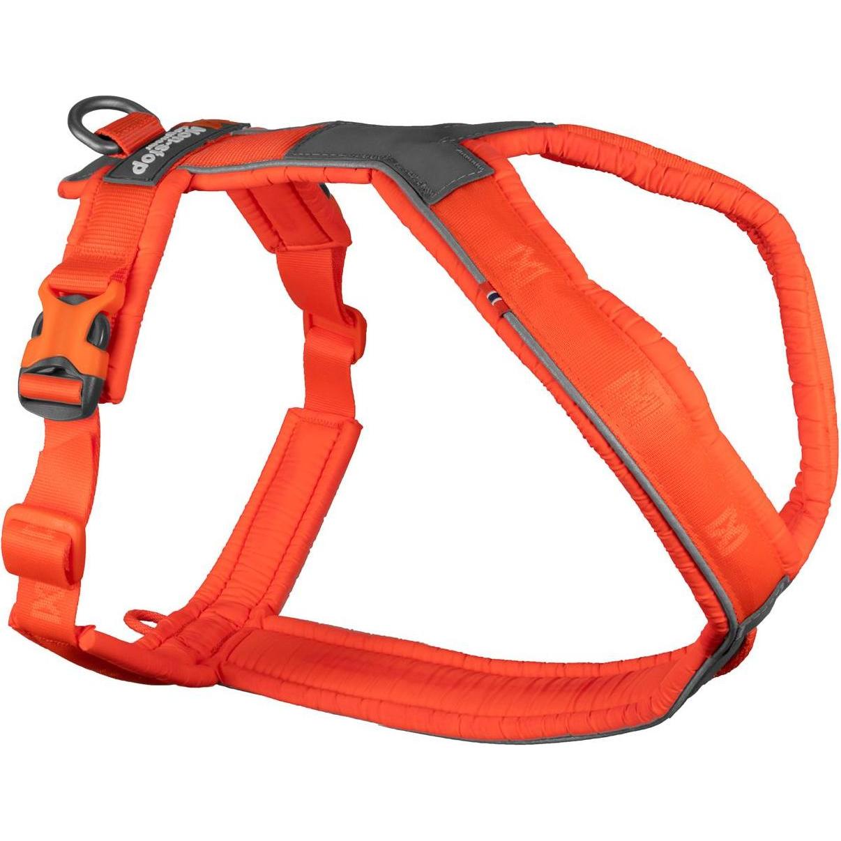 Meilleurs prix pour Non-Stop Dogwear Harnais de ligne 5.0 Orange 8 (8, Chien, Général, Promenade, Sport canin, Travail, Vélo), Collier + laisse