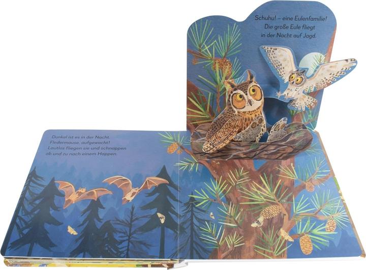 Image du produit Mon livre pop-up pour s'émerveiller. Qui vit dans la forêt? (Allemand)