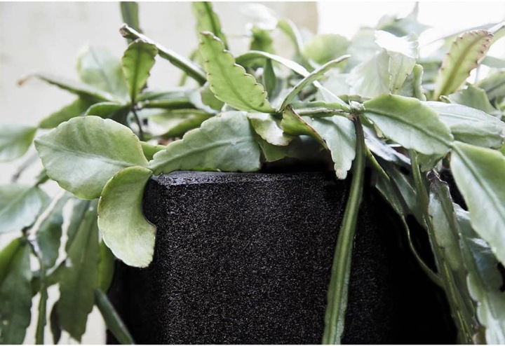 Actual product image Capi Tutch Pot (40 cm)