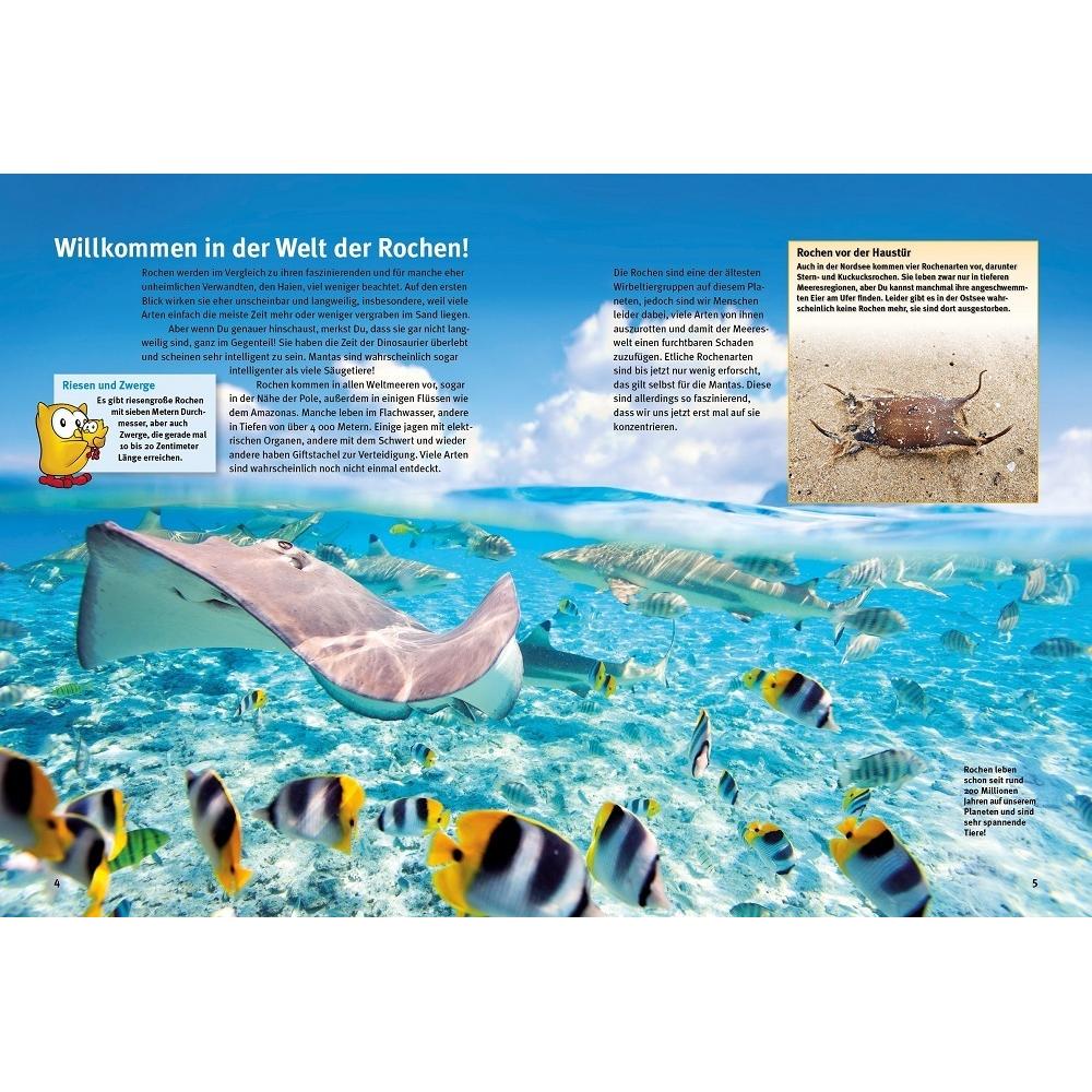 Thumbnail - Entdecke die Rochen, Kinderbücher von Ralf P. Sonntag