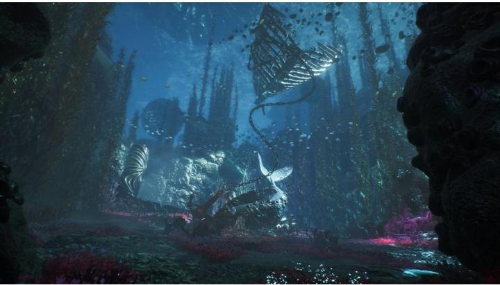 Image du produit Bandai Namco Clair Obscur: Expedition 33 (PS5, Multilingue)