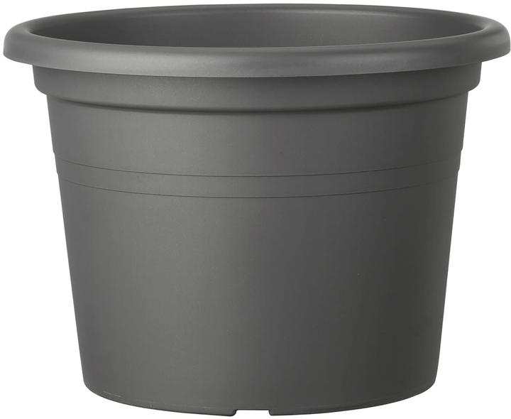 Deroma Day R (50 cm)