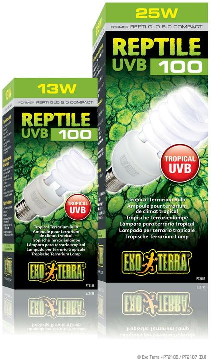 Actual product image Exo Terra Compact fluorescent tube Repti Glo 5.0 26 W (UVA, UVB)