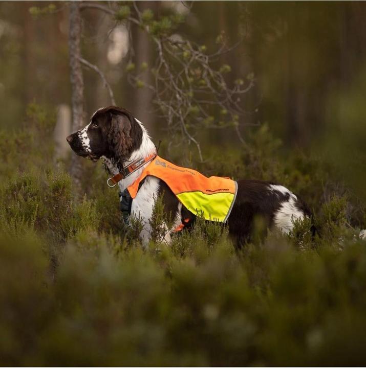 Actual product image Non-Stop Dogwear Pector Vest (M, Dog vest)