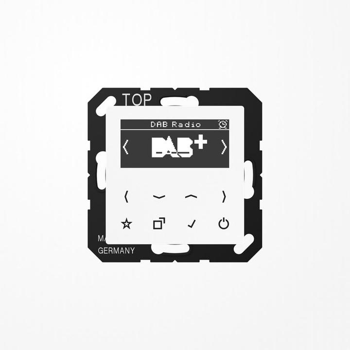 Actual product image JUNG Dabaww (DAB+)