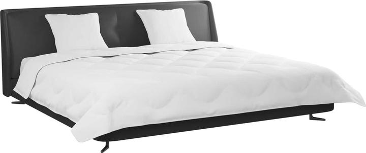 Immagine prodotto vidaXL Mikrofaser-Bettdecke (3830 g, Microfibra, Piuma, 200 x 200 cm)