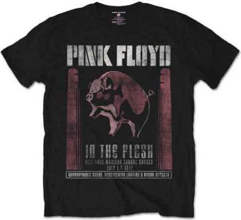 Pink Floyd In The Flesh