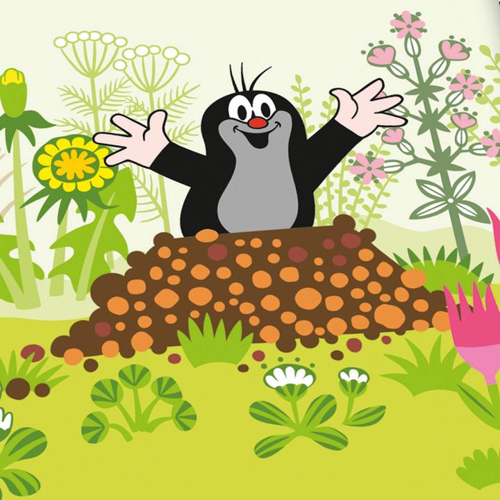 Produktbild Herding Kinder-Wendebettwäsche "Der kleine Maulwurf"