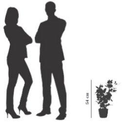 Immagine prodotto Paperflow meet powered by ROSENSTOCK Kunstpflanze 54,0 cm (54 cm)