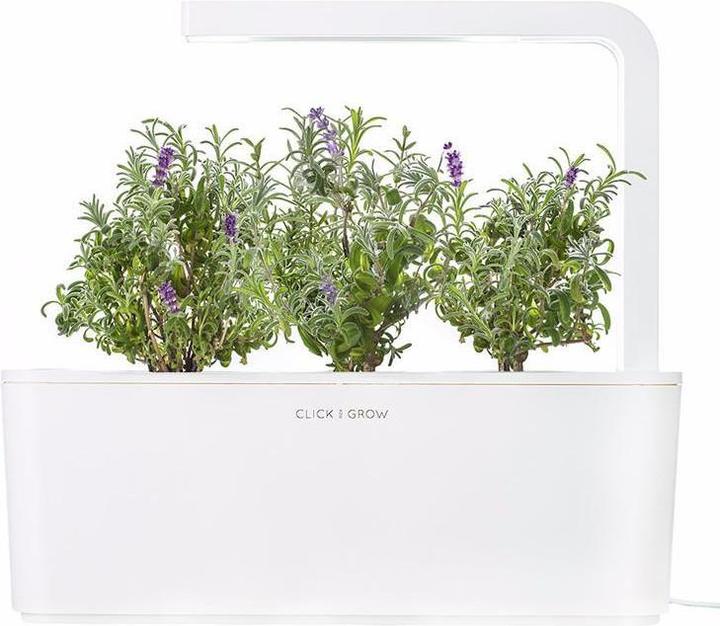 Produktbild Click and Grow Lavendel (Kräutersamen)