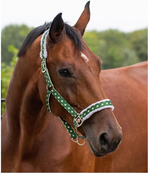 Produktbild Qhp Halfter Christmas Elf