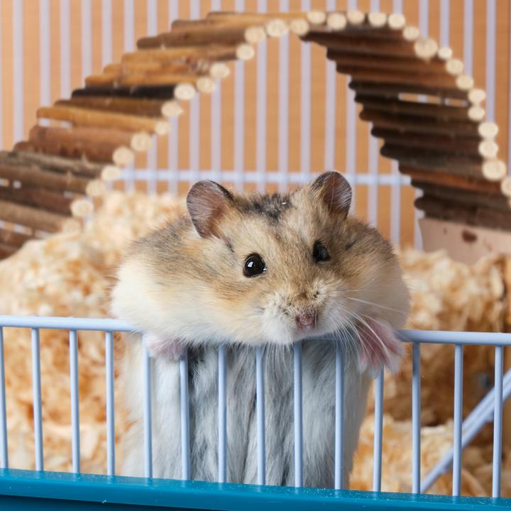 Actual product image Relaxdays Rubbish Press For Wheelie Bin