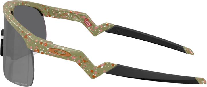 Produktbild Oakley Resistor (FERN TERRAZZO, Prizm Black)