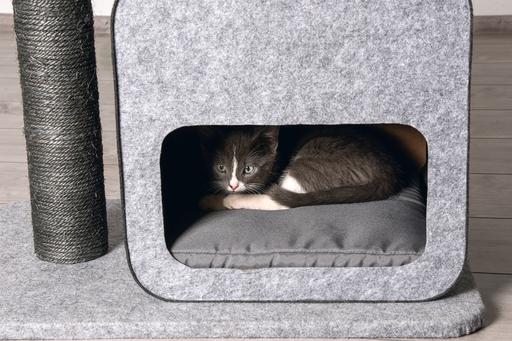 Produktbild Karlie Flavie (77 cm, Grey)