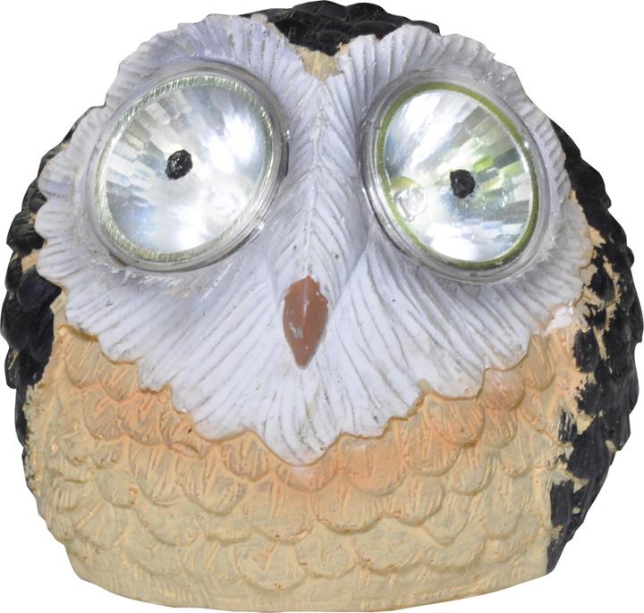 Image du produit Globo lumière solaire (IP44)