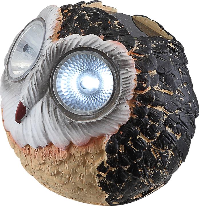 Image du produit Globo lumière solaire (IP44)