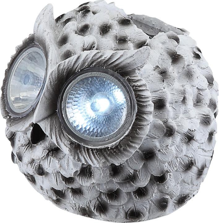 Image du produit Globo lumière solaire (IP44)