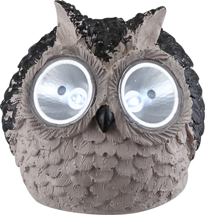 Image du produit Globo lumière solaire (IP44)