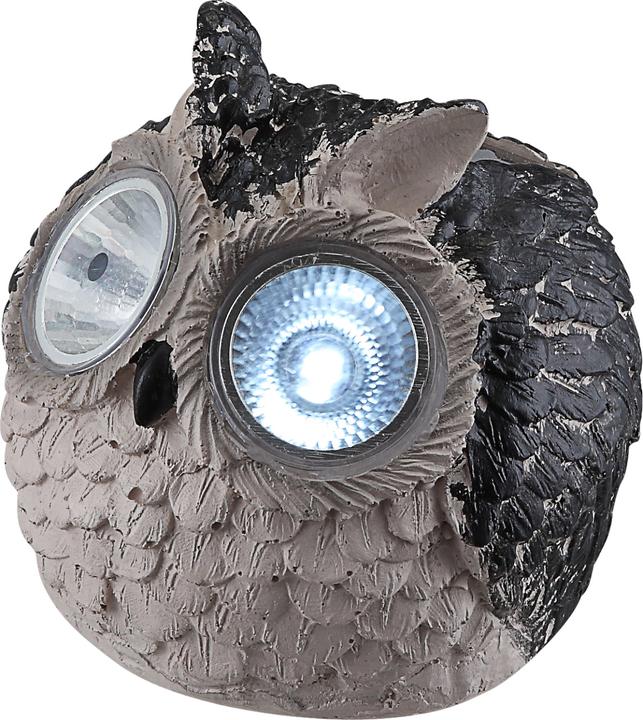 Image du produit Globo lumière solaire (IP44)