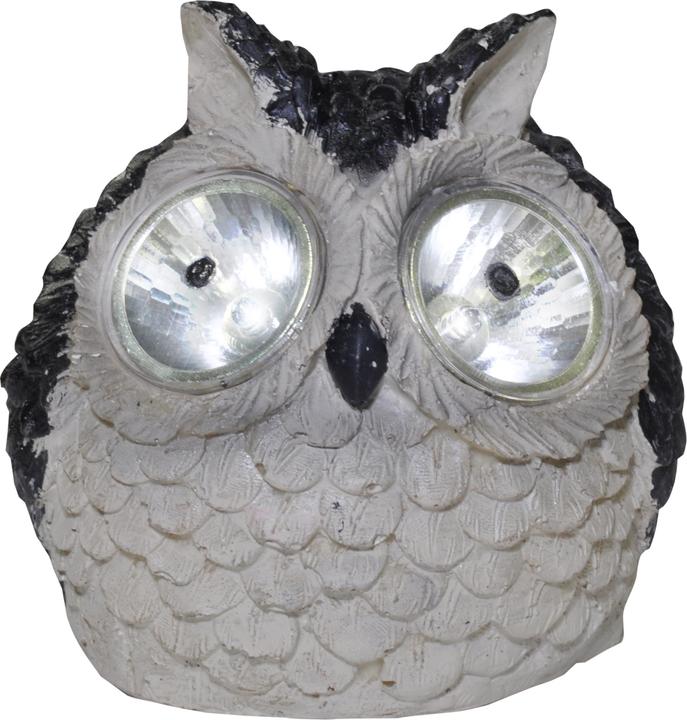 Image du produit Globo lumière solaire (IP44)