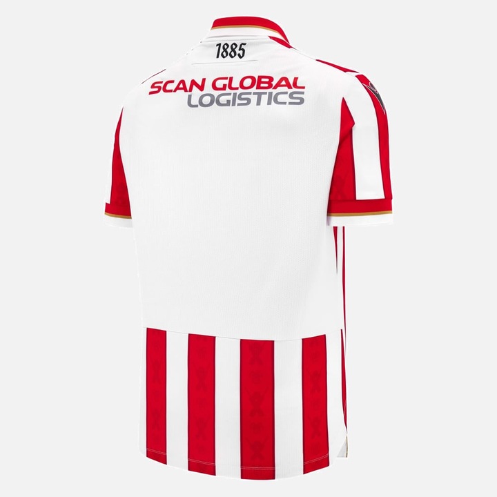 Actual product image Macron Aalborg BK Jersey (L)