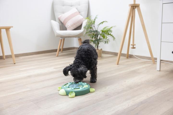 Actual product image Kerbl Turtle thinking and learning toy (Intelligence toy dog)