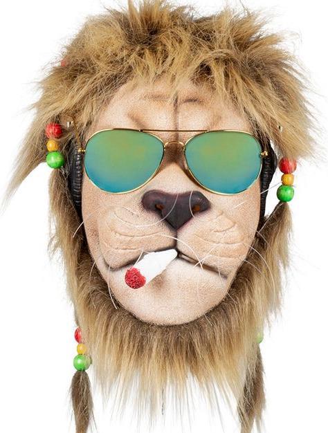 Produktbild Boland Rasta Löwen Maske Mit Haar Und Brille, Latex