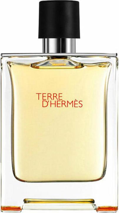 Image du produit Hermès Terre d' (Eau de toilette, 100 ml)