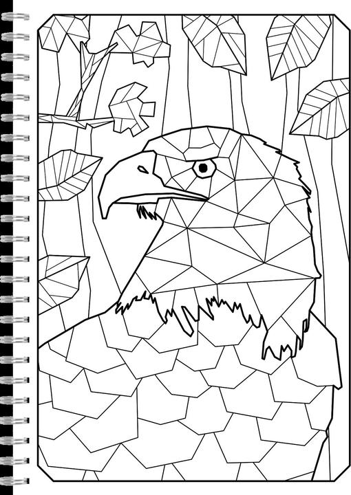 Produktbild Polygone Magie