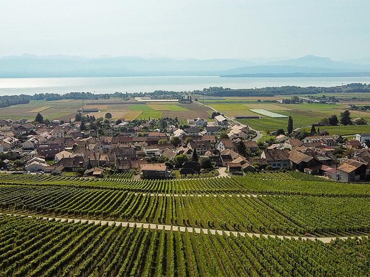 Image du produit Smartbox Dégustation de 11 vins, visite des caves, collation et bouteille offerte à Gilly (1 Personne)