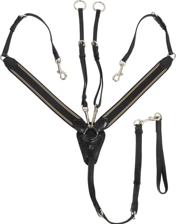 Image du produit Catago Bride équitation avec martingale