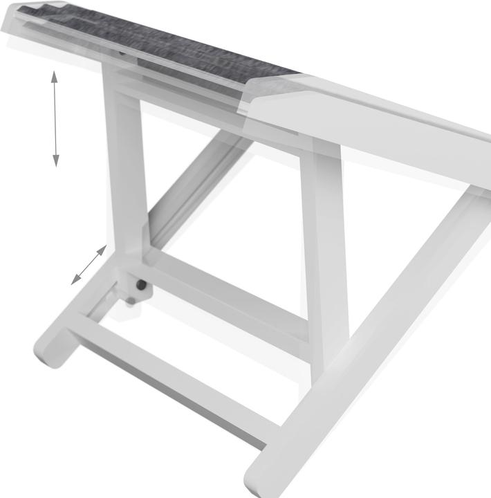 Actual product image Relaxdays Hunderampe (Dog, Foldable)