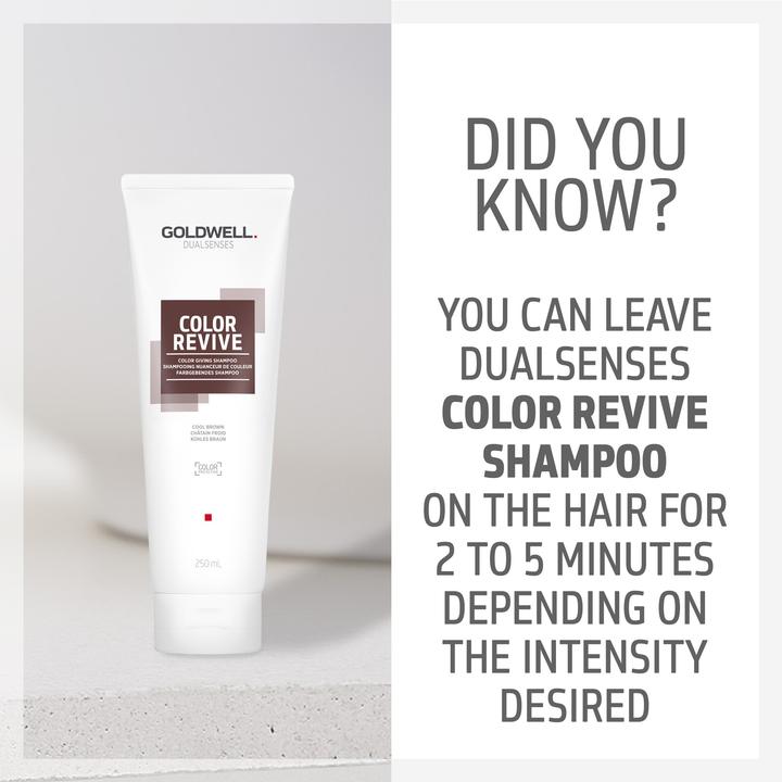 Image du produit Goldwell Shampooing Color Revive Color Giving Shampoo Cool Brown (Shampoing liquide, 250 ml)