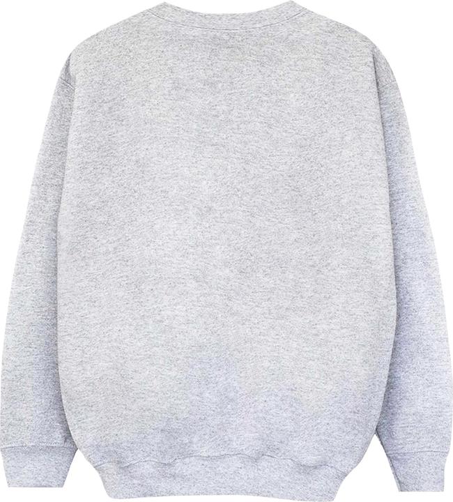 Actual product image Disney Mens Best Mini Ever Sweatshirt (S)