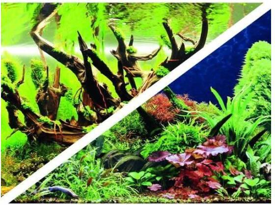 Produktbild Hobby Secret/ Wood Island (Dekoration, sonstige Gegenstände)