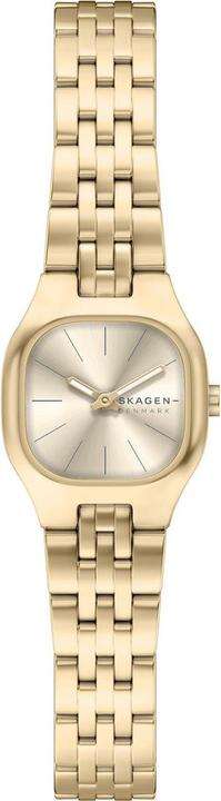 Image du produit Skagen Mellem Micro (Horloge analogique, 22 mm)