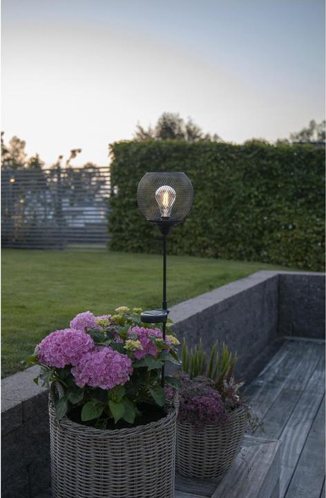 Produktbild Star Trading Solar Garden Stick Sunlight - Path (IP44)