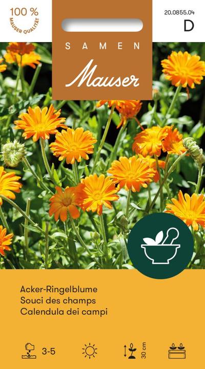 Samen Mauser Acker-Ringelblume (Pflanzensamen)
