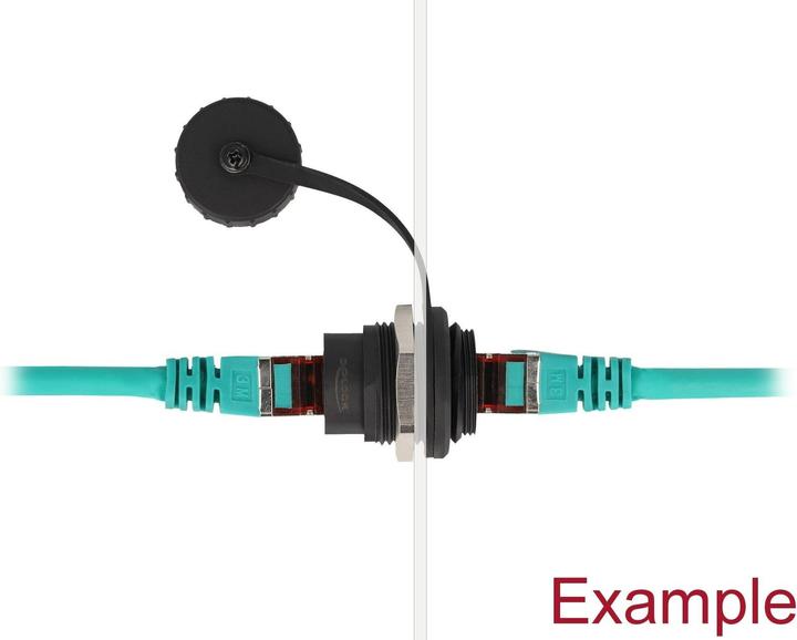Actual product image Delock RJ45 Cat.6A panel jack with dust protection cap (Network coupling)
