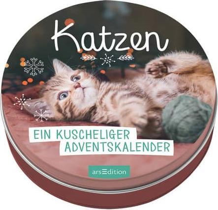 Chats - Avent câlin