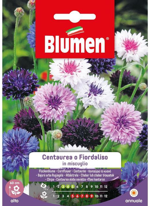 Immagine prodotto Blumen Saatgut Kornblume Mix (Semi di fiori)