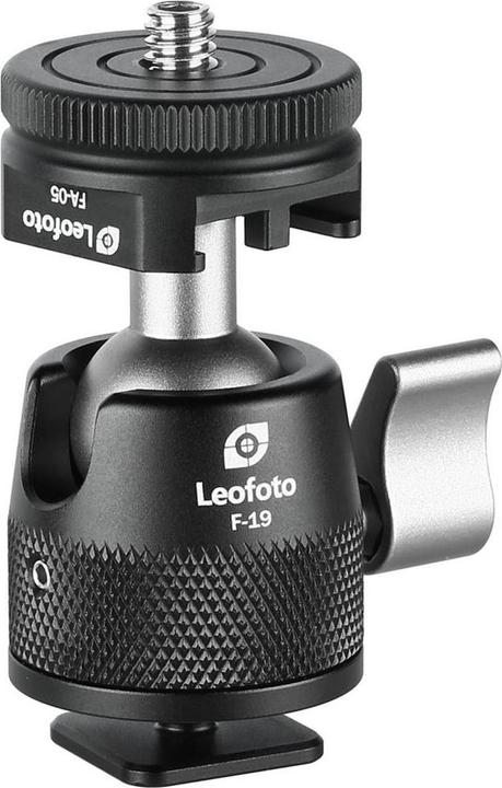 Leofoto Ballhead F-19 (Kugelkopf)