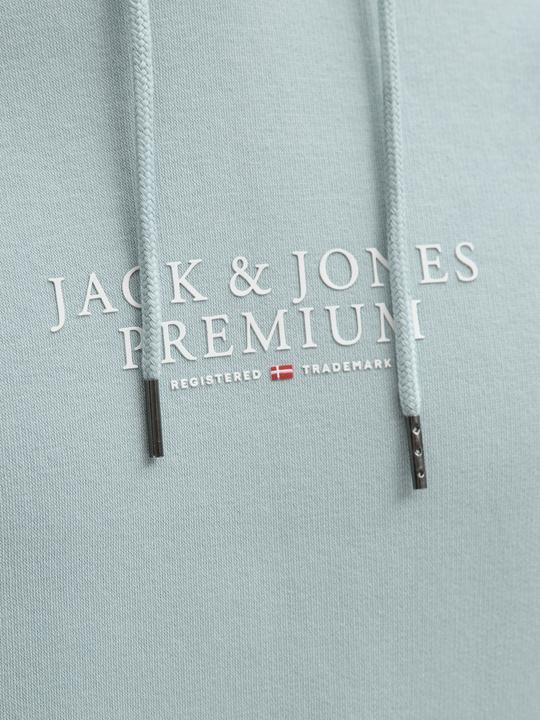 Actual product image Jack & Jones Jprbluarchie Sweat Hood Noos (XL)