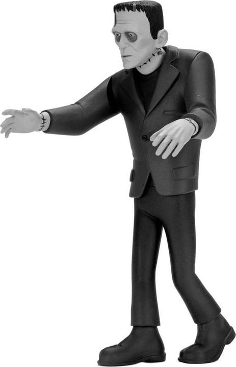 Actual product image Neca Universal Monsters Toony Terrors Action Figures 15 cm Series 10 Silver Screen Edition Range (12)