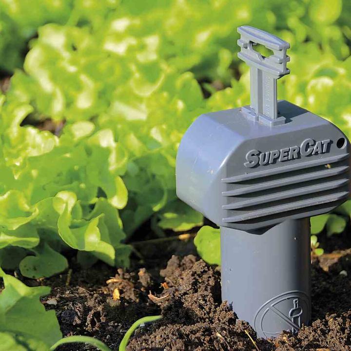 Actual product image Swissinno Vole Trap SuperCat