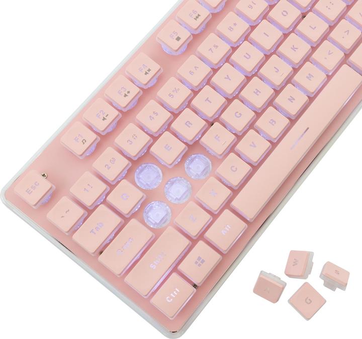 Actual product image Shark GK-003441 Tachi Pink US (US)